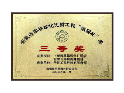吐鲁番荣获2025“徽园杯”奖三等奖